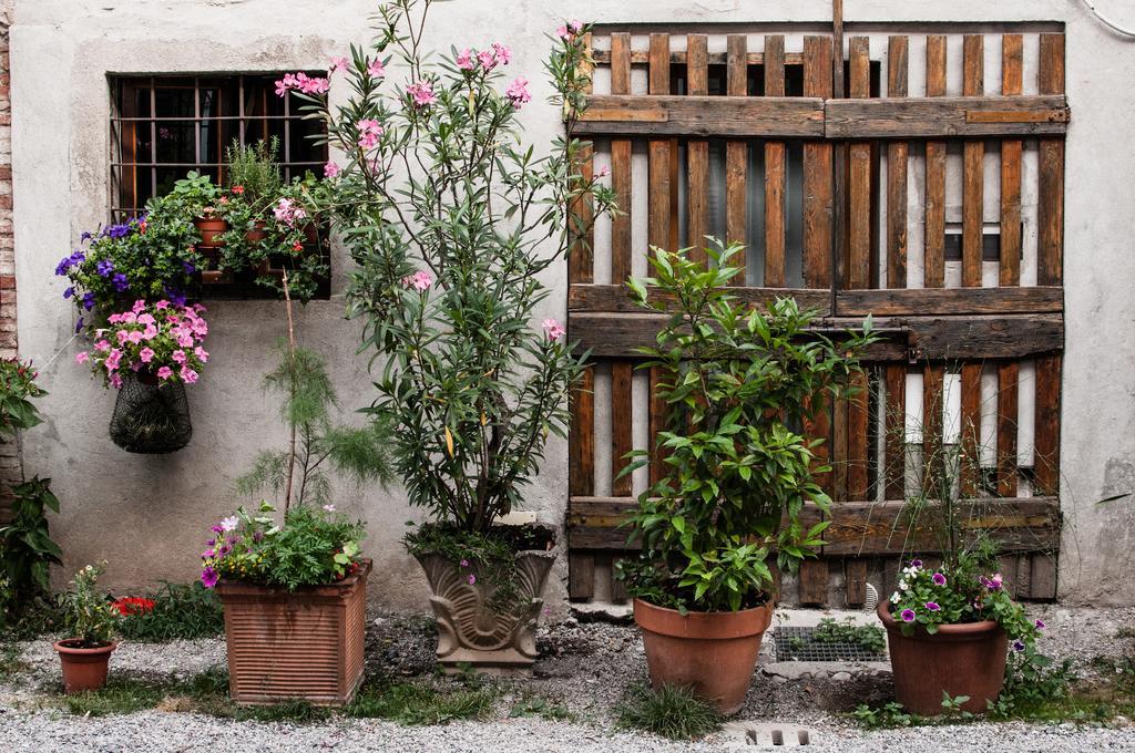 Buonocore Guesthouse Bergamo Bagian luar foto