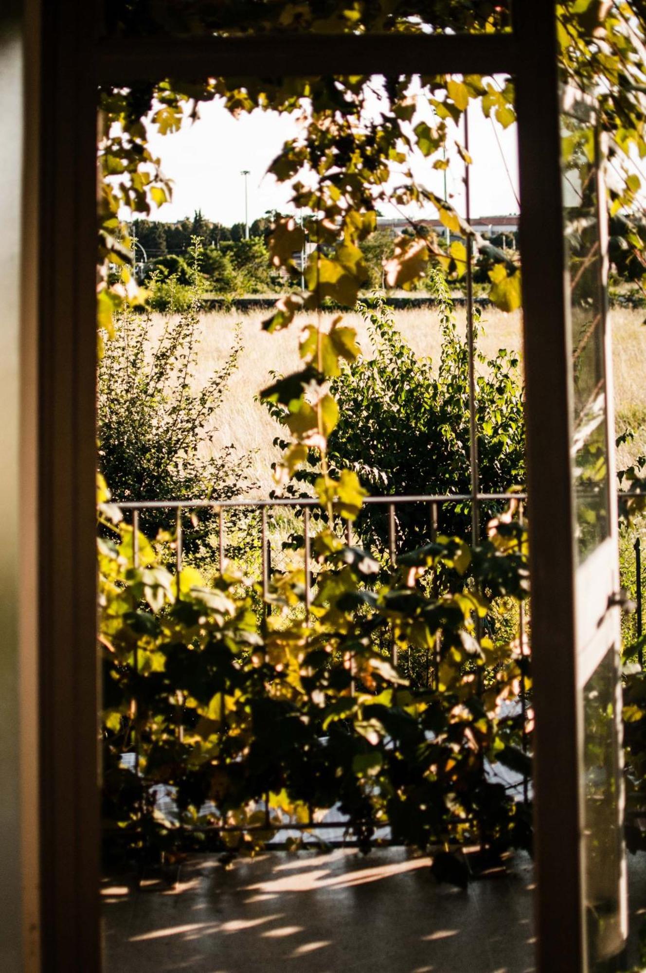 Buonocore Guesthouse Bergamo Bagian luar foto